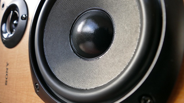 Portable Speaker